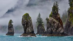 ｢コーブ・オブ・スパイア｣米国アラスカ州, キーナイ・フィヨルド国立公園 (© Grant Ordelheide/Tandem Stills + Motion)(Bing Japan)