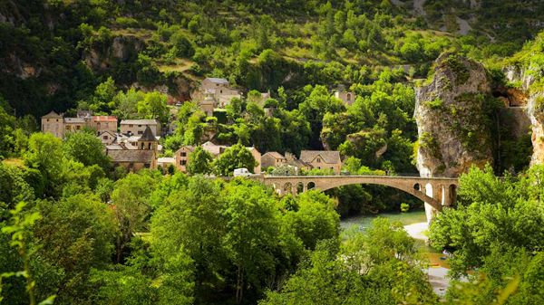 Gorges of Tarn in Cévennes National Park, Languedoc-Roussillon, France