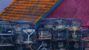 Lobster traps stacked waiting for the lobster fishing season on the Bay of Fundy in Canada.(© Ruth Burke/Alamy)(Bing Canada)