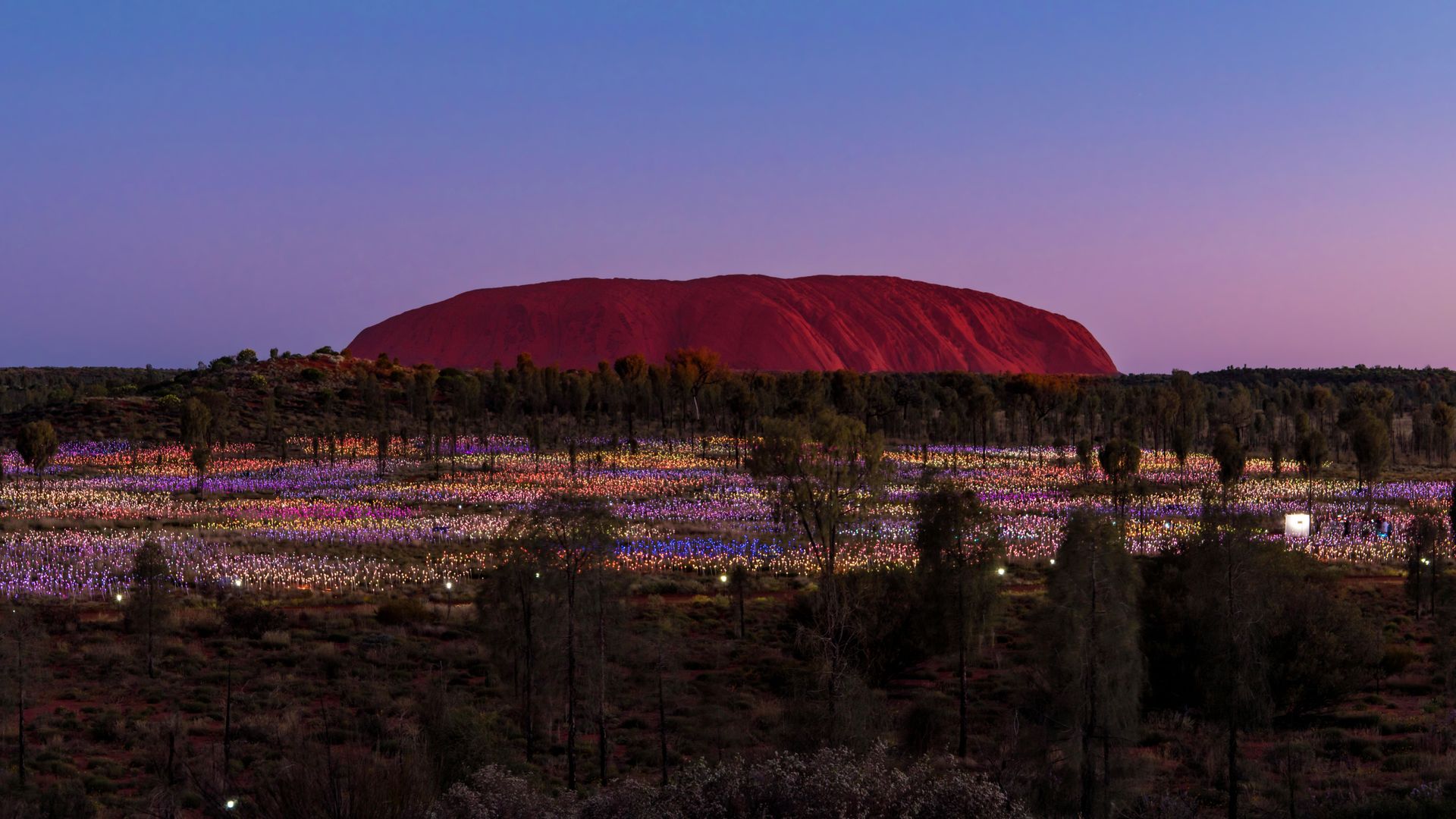 \'Field of Light\' by artist Bruce Munro at Uluru, Australia
