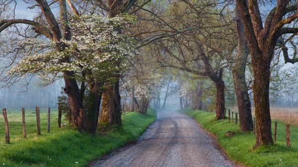 Vicolo delle scintille a Cades Cove, Parco Nazionale delle montagne Great Smoky,Tennessee, Stati Uniti