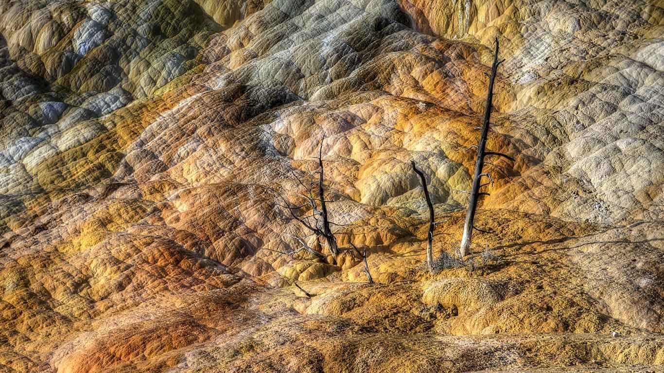 Mammoth Hot Springs, Yellowstone National Park, Wyoming