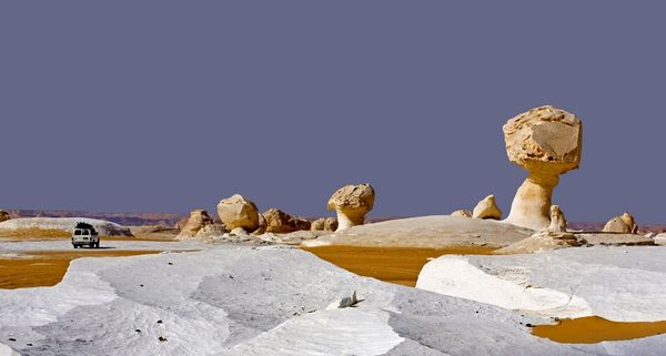 WhiteDesert