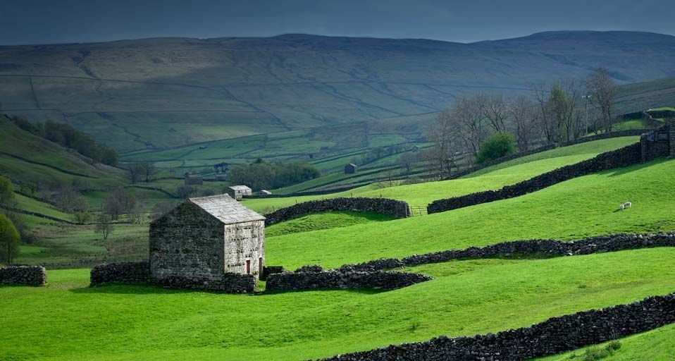 Stone farm buildings and dry stone walls in Swaledale, Yorkshire, UK