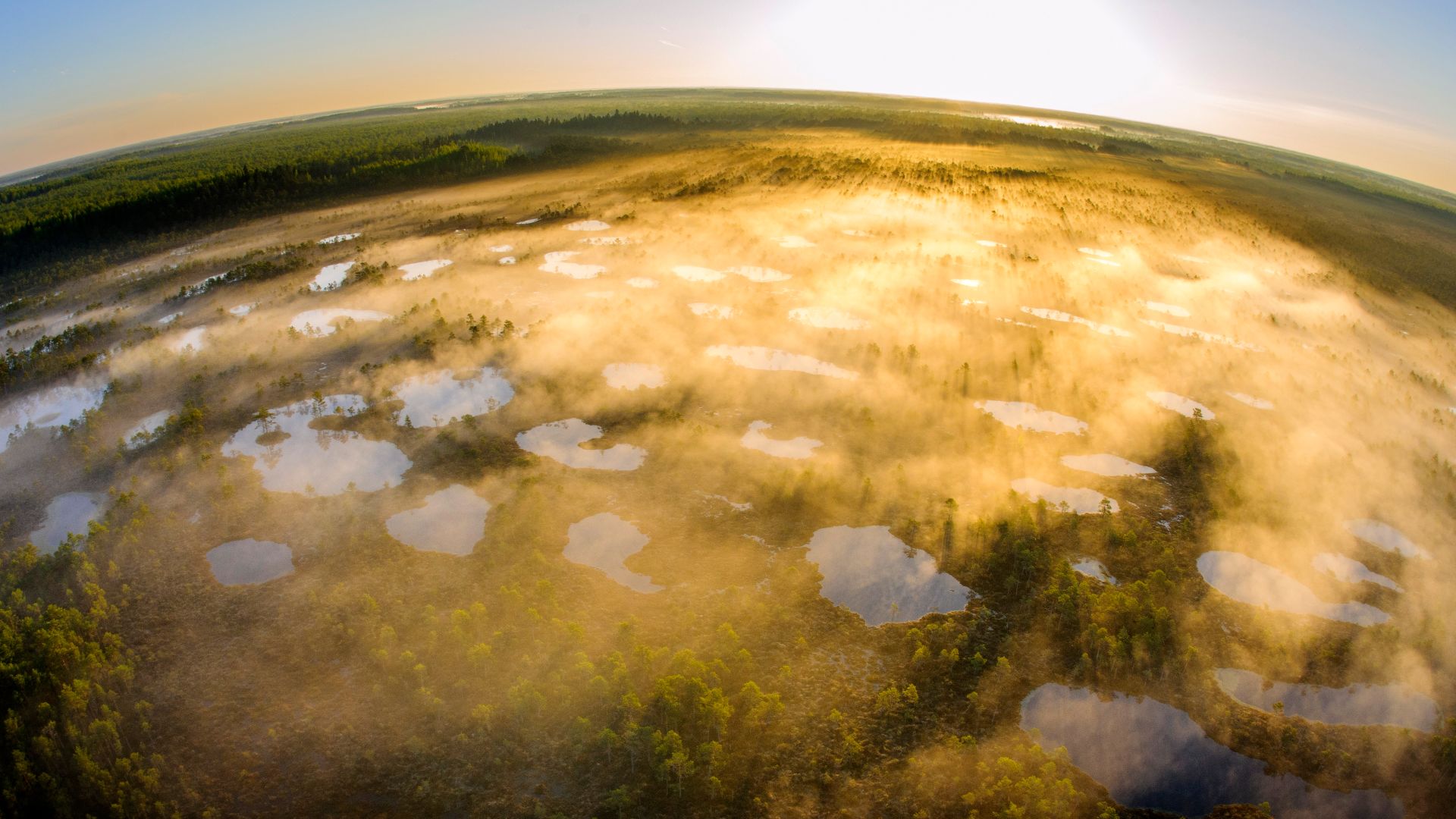 Alam-Pedja Nature Reserve in Tartu County, Estonia