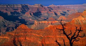 Parc national du Grand Canyon, Arizona, États-Unis (© Jean-Pierre Lescourret / SuperStock) &copy; (Bing France)