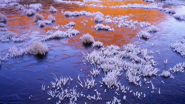 A frozen tarn at sunrise in the Walls of Jerusalem National Park, Tasmania, Australia
