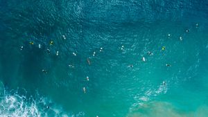 Aerial view of surfers, Santa Catarina, Brazil (© Wonderful Nature/Shutterstock)(Bing United States)