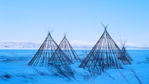Sami lavvu structures, Finnmark, Norway (© Céleste Manet/plainpicture)(Bing New Zealand)