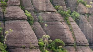 Budawang Range in Morton National Park, New South Wales (© Kerry Whitworth/Alamy)(Bing Australia)