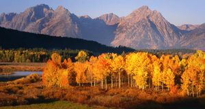 Autumn in Grand Teton National Park (© Carol Polich/Lonely Planet Images) &copy; (Bing United States)