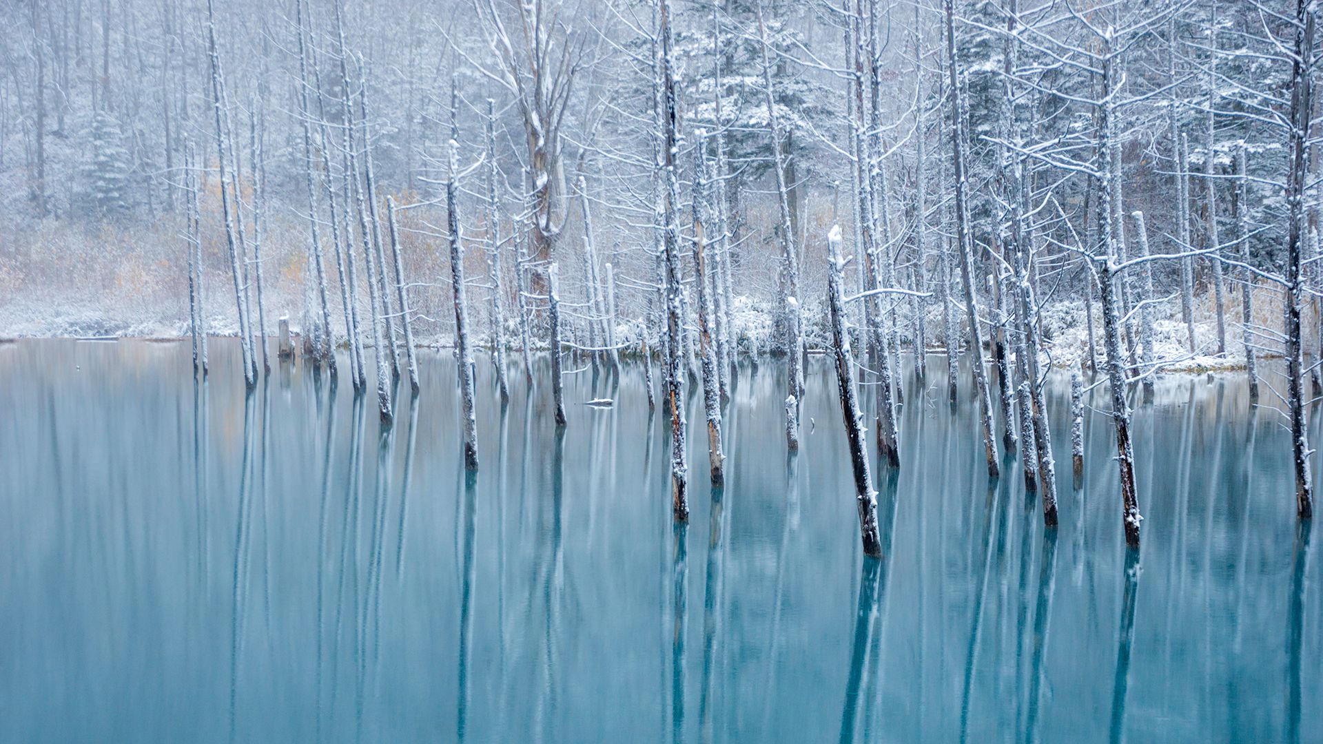 青い池, 北海道 美瑛町