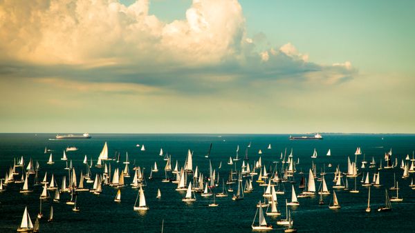 La regata della Barcolana nel Golfo di Trieste, Friuli-Venezia Giulia, Italia