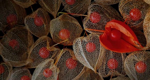 ChinesePaperLantern