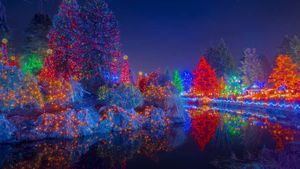 加拿大，温哥华，不列颠哥伦比亚，温哥华植物园的圣诞赏灯 (© Michael Wheatley/age fotostock)(Bing China)
