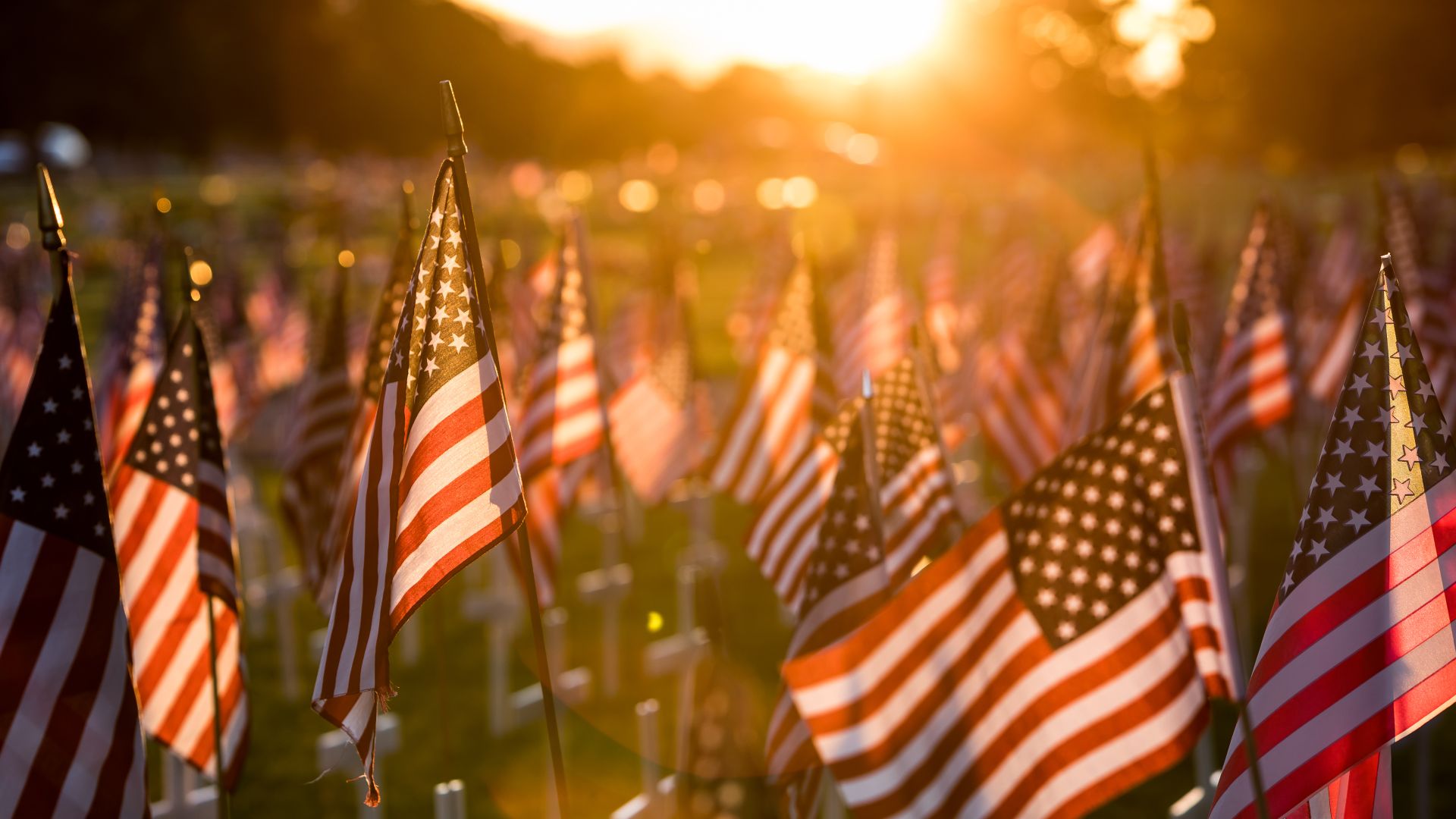 Field of flags set up for Memorial Day