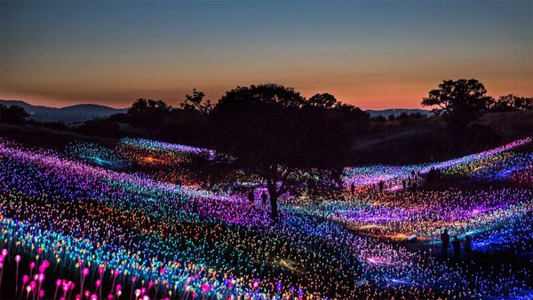Field of Light at Sensorio, by Bruce Munro, Paso Robles, California, USA