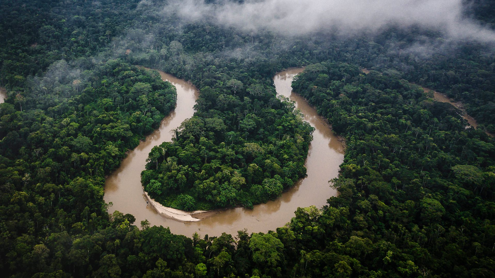 Foresta Amazzonica, Ecuador