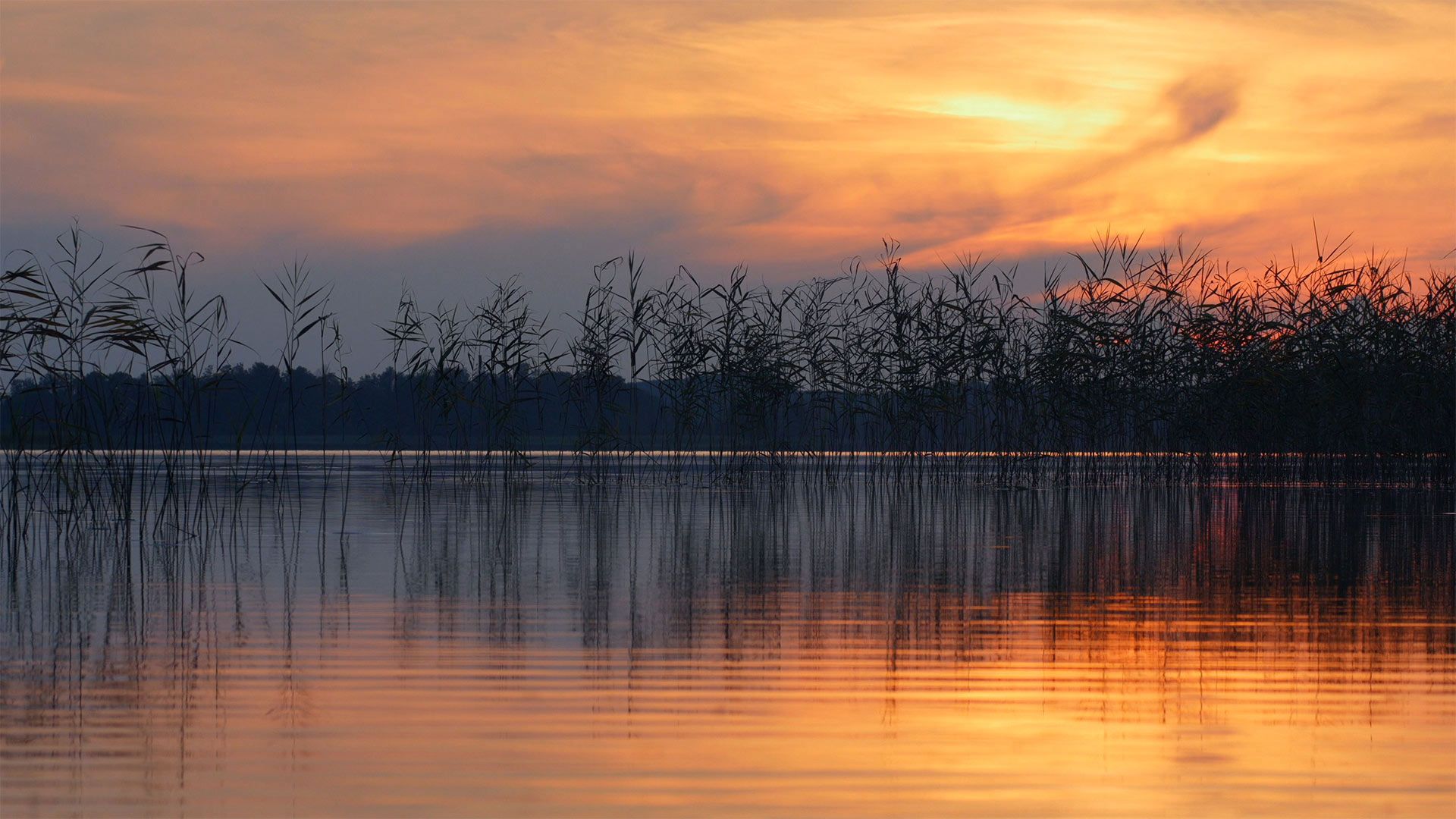 Water ripples on the surface of Ežezers Lake in the Latgale region, Latvia