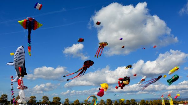 Cerfs-volants dans le ciel de Fréjus, Var, Provence-Alpes-Côte d’Azur