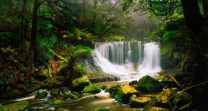 Horseshoe Falls surrounded by rainforest/in the Mount Field National Park -- Jochen Schlenker/Getty Images &copy; (Bing Australia)