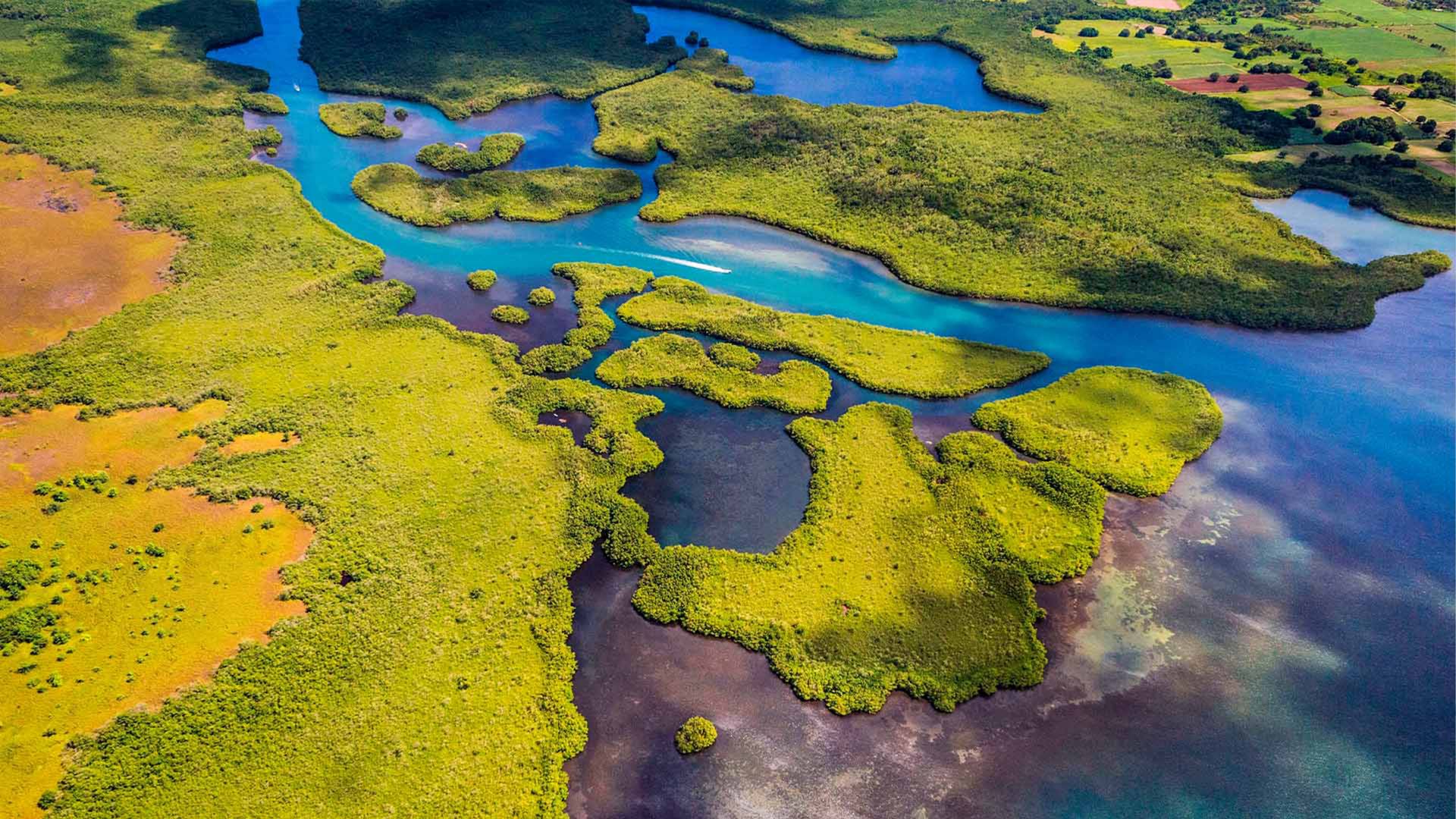 Grand Cul-de-Sac Marin, Guadeloupe National Park, Lesser Antilles