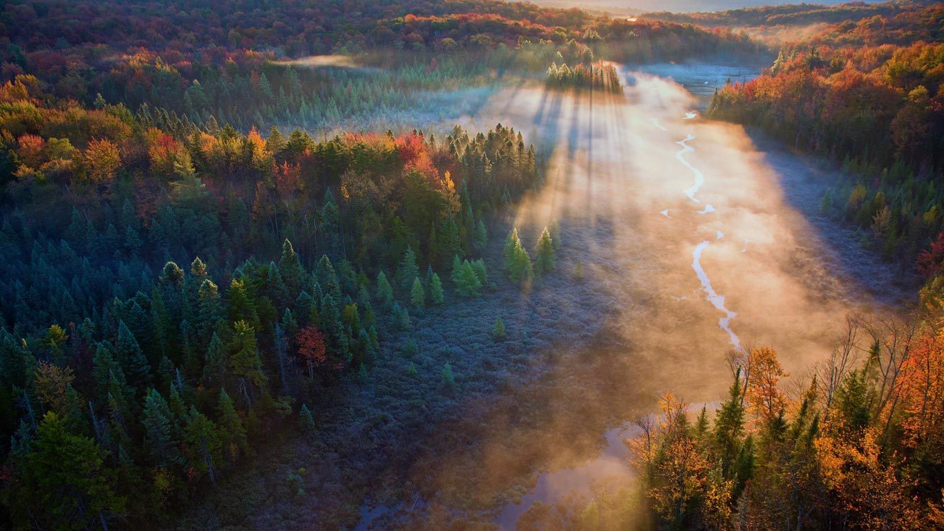 Beaver Meadow in Green Mountain National Forest, Vermont