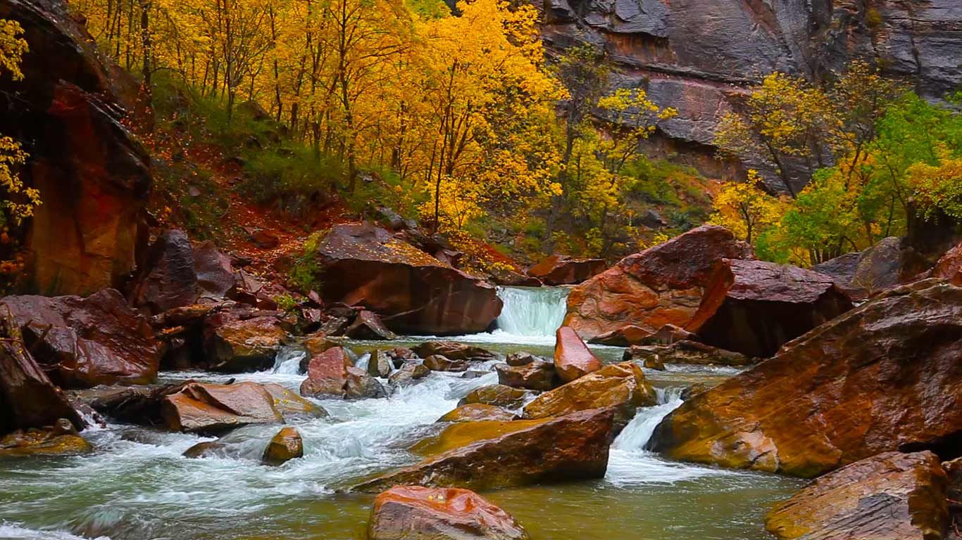 North Fork of the Virgin River, Zion Canyon, Utah