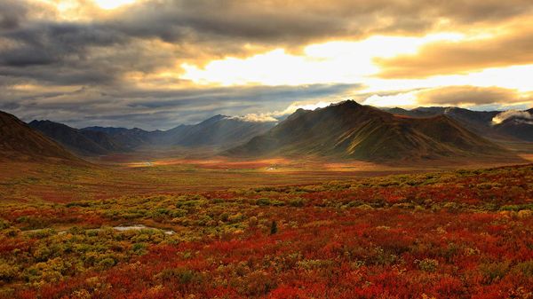 Shaft of sunlight hitting the fall colours of the Dempster Highway, Yukon
