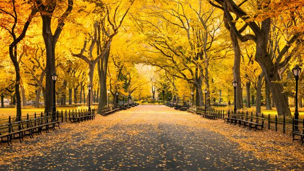 Autunno a Central Park, Manhattan, New York City, USA