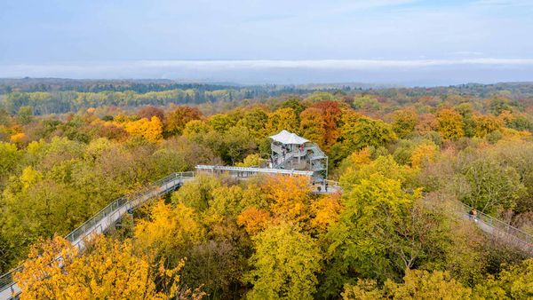 Hainich National Park, Thuringia, Germany