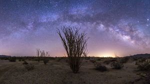 Milky Way over Anza-Borrego Desert State Park, California (© Kevin Key/Slworking)/Getty Images)(Bing United States)