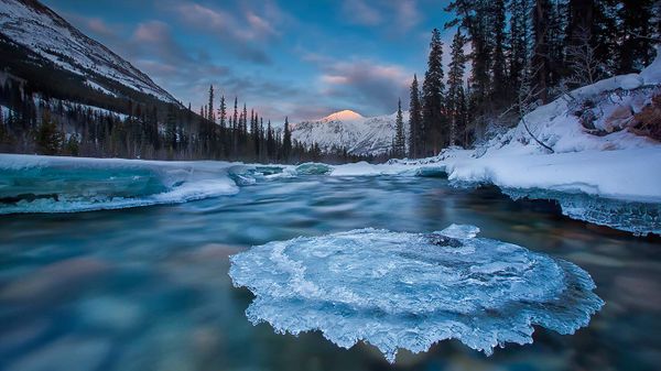 Ice-covered rock in Wheaton River, Yukon, Canada