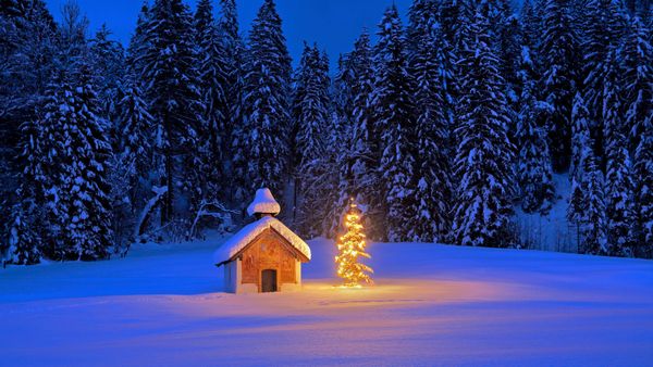 Cappella innevata con albero di Natale nelle Alpi bavaresi, Germania