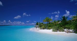 ｢ヤシの木の浜辺 ｣モルディブ, アリ環礁 -- Purestock/Photolibrary &copy; (Bing Japan)