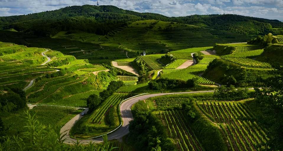 Vineyards and windy roads in the Kaiserstuhl region of Germany