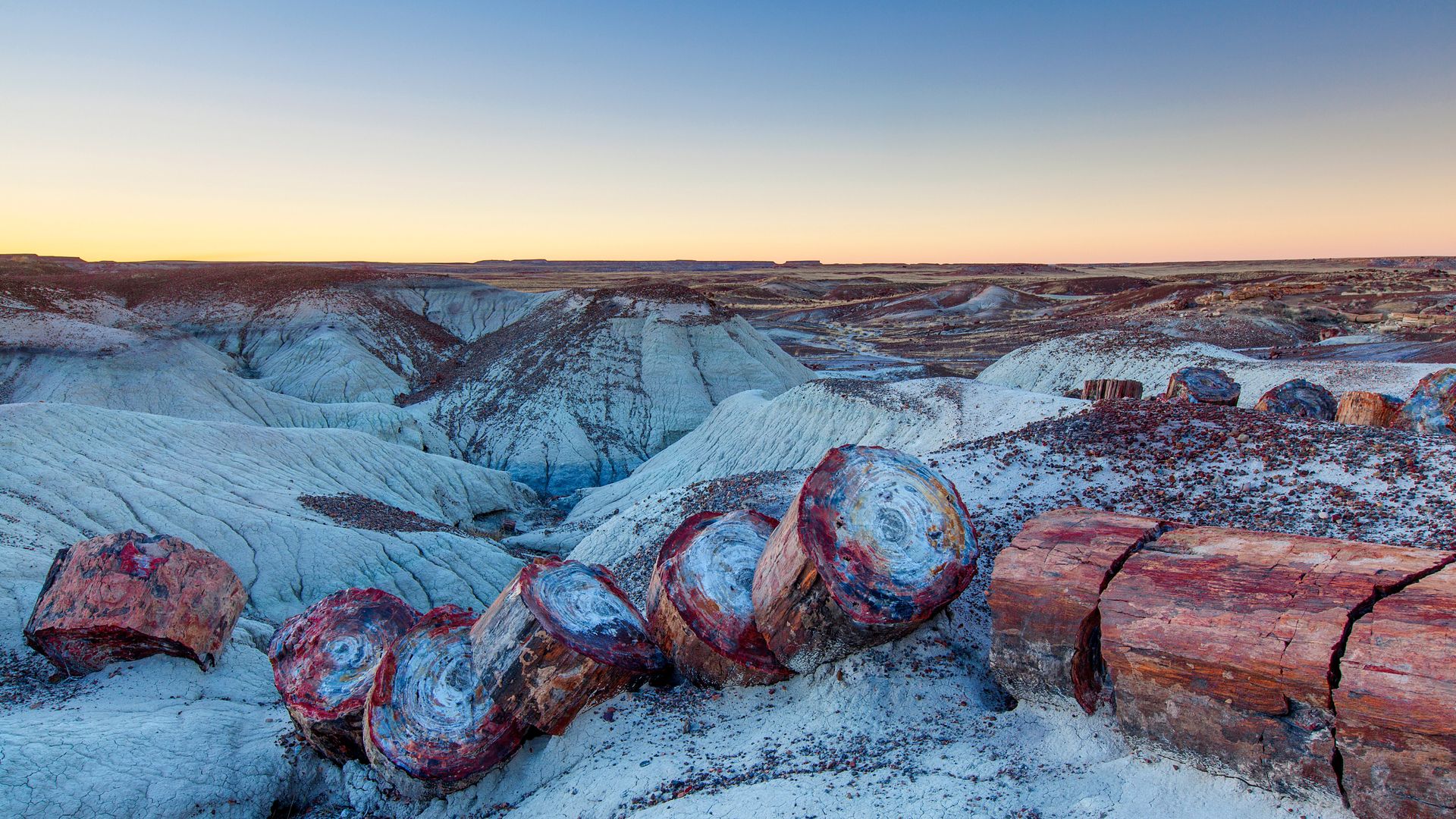 Petrified Forest National Park, Arizona, USA