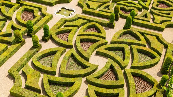 Formal garden at Château de Villandry, Loire Valley, France
