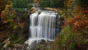 Webster\'s Falls in autumn, Hamilton, Ont. (© Saffron Blaze/Getty Images)(Bing Canada)