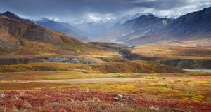 ｢デナリ国立公園｣アメリカ, アラスカ (© Ron Niebrugge/CorbisMotion) &copy; (Bing Japan)