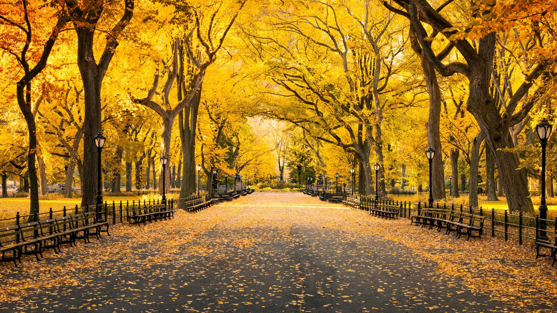 Autunno a Central Park, Manhattan, New York City, USA