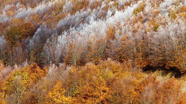 Les Cévennes entre deux saisons