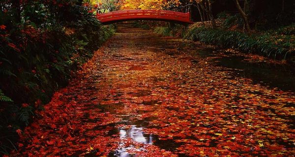 OguniShrine