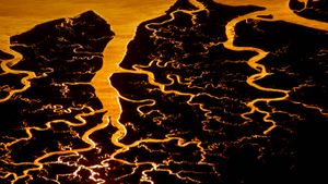 ｢スワニー川デルタ地帯｣アメリカ, フロリダ州 (© Frans Lanting/Corbis)(Bing Japan)