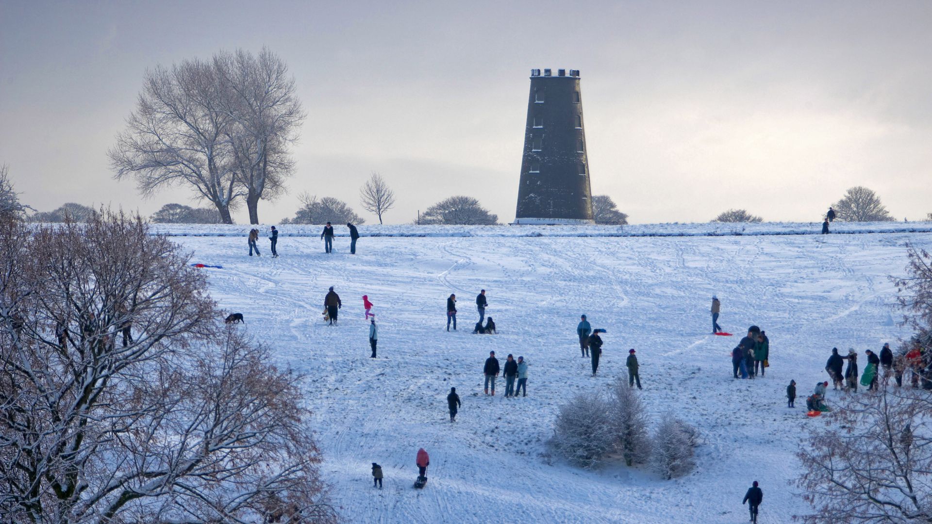 Beverley Westwood Common, East Yorkshire