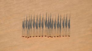Caravane dans le désert, Broome, Australie-Occidentale (© Jarrad Seng/500px)(Bing France)