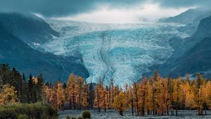 Exit Glacier at Kenai Fjords National Park in Alaska (© Nathaniel Gonzales/Alamy)(Bing United States)