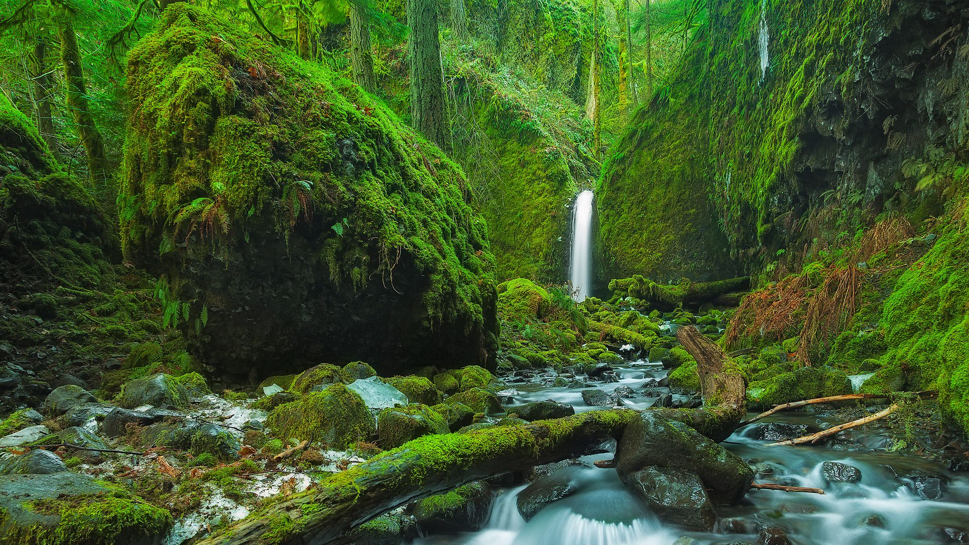 Mossy Grotto Falls, Columbia River Gorge, Oregon