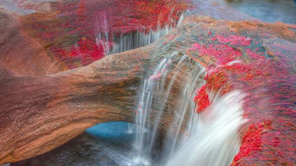 The Caño Cristales River in the Serranía de la Macarena mountains of Colombia