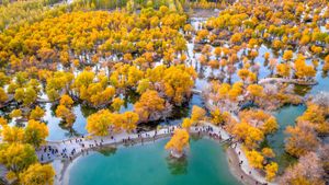 被胡杨树围绕着的湖, 金塔县, 酒泉, 甘肃, 中国 (© Feng Wei Photography/Getty images)(Bing China)